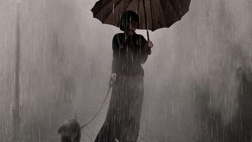woman walks her dog