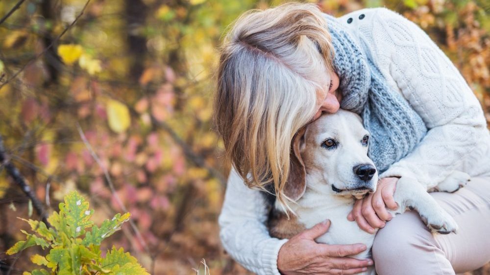 old dog with woman