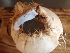 young coconut young coconut
