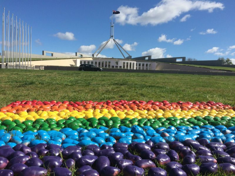 A Potato Pride Flag A Potato Pride Flag